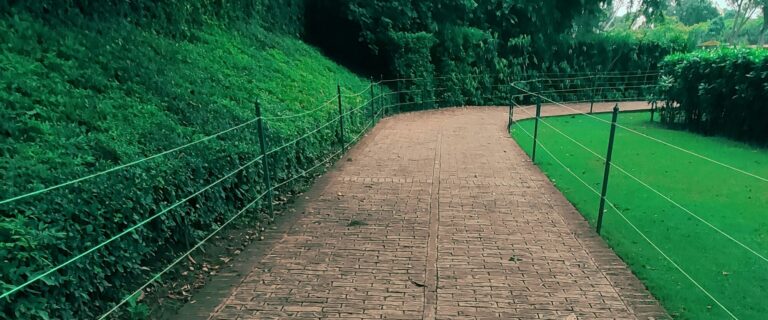 Discipline Brings Rewards