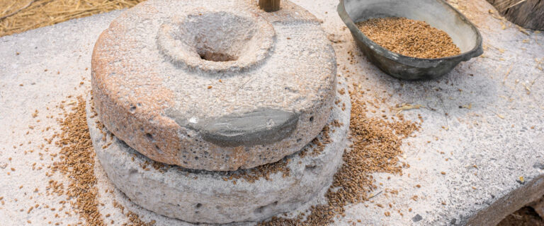 The Solution to Control