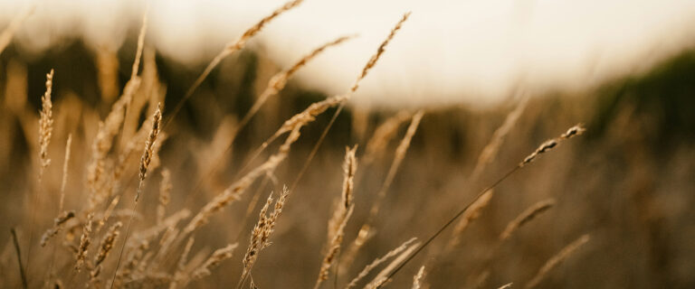 Why Confession Is Key to Spiritual Maturity