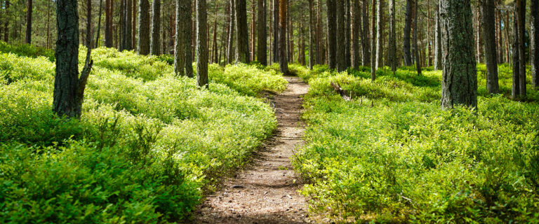 Signs You're Following the Savior