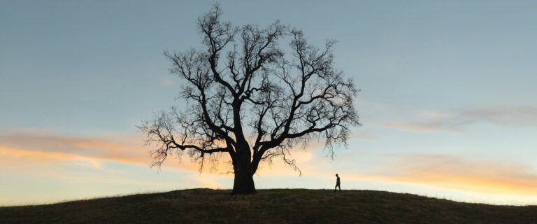 The Epidemic of Loneliness