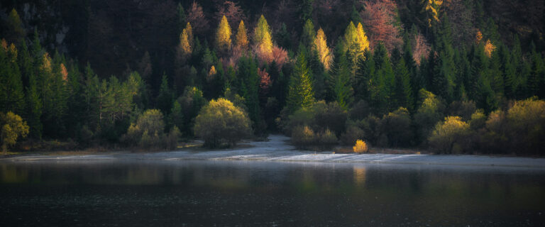 Develop Your Relationship