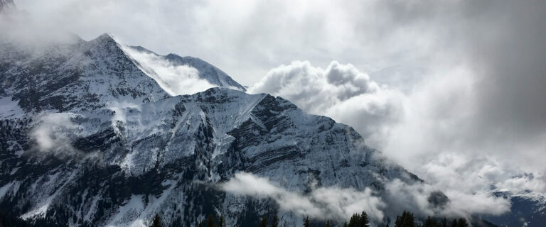 Faith in the Midst of Hardship